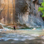 Best Time to Visit Zion National Park