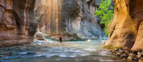 Best Time to Visit Zion National Park