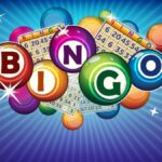 Essential things to do before playing bingo