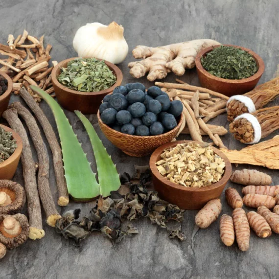 9 Essential Immune-Supporting Herbs to Include in Your Routine