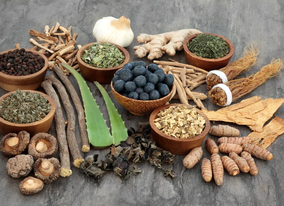 9 Essential Immune-Supporting Herbs to Include in Your Routine