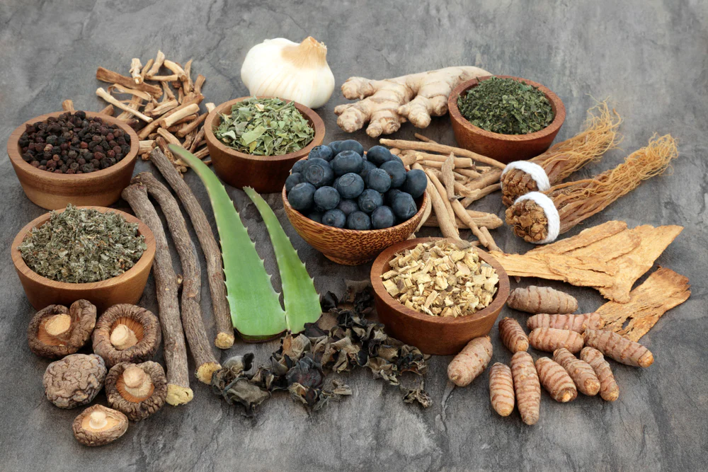 9 Essential Immune-Supporting Herbs to Include in Your Routine