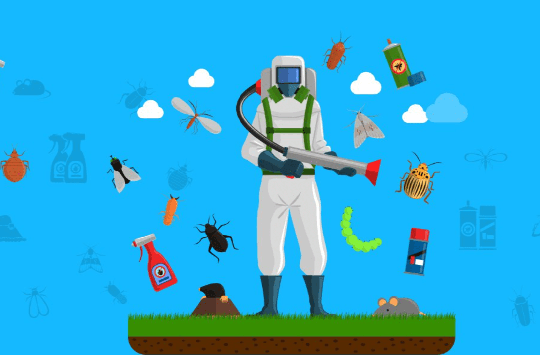 How Wesley Chapel’s Humid Climate Affects Pest Populations and What You Can Do About It