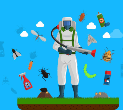 How Wesley Chapel’s Humid Climate Affects Pest Populations and What You Can Do About It