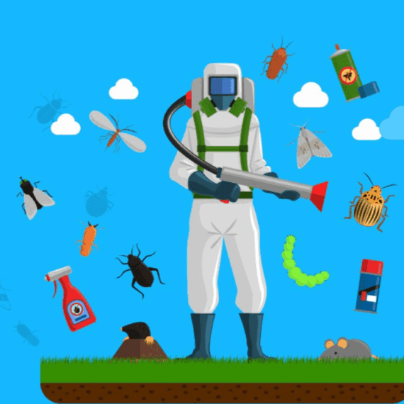 How Wesley Chapel’s Humid Climate Affects Pest Populations and What You Can Do About It